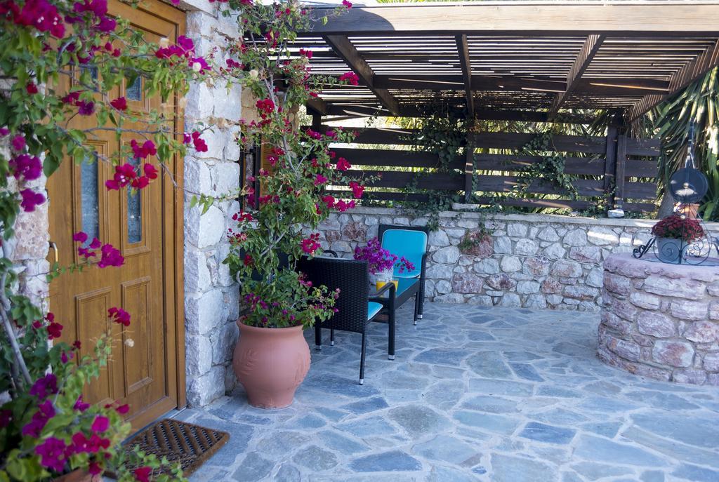 Stone House Vilă *