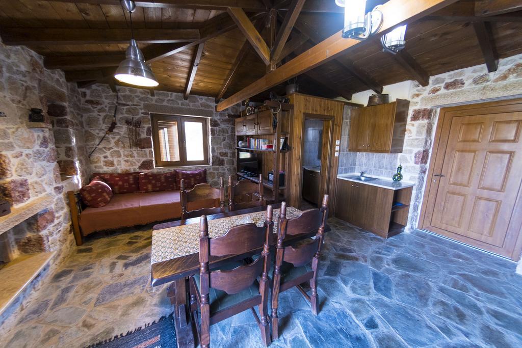 Stone House Vilă *